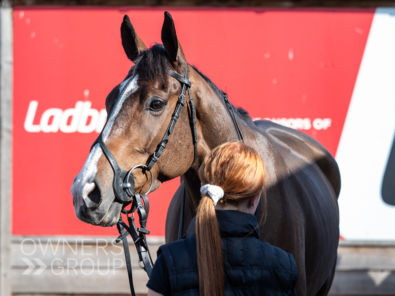 Dan Skelton Visit - 9 October 2023